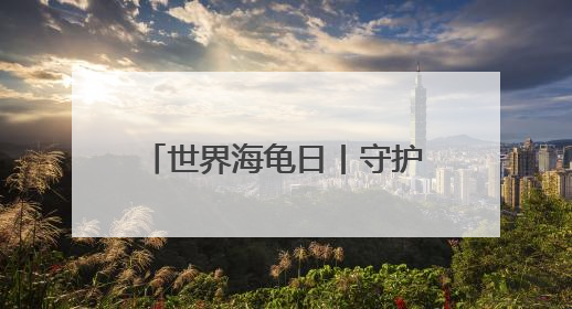 世界海龟日丨守护世界最大海龟产卵 特多“守夜人”坚守海滩30多年
