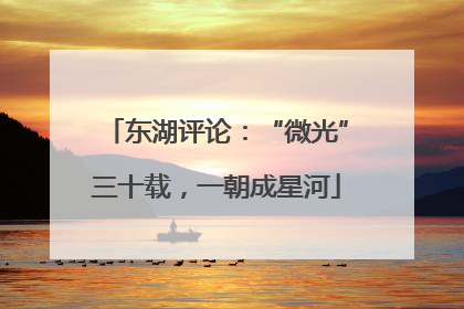 东湖评论：“微光”三十载，一朝成星河