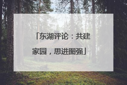 东湖评论：共建家园，思进图强