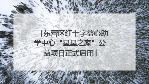 东营区红十字益心助学中心“星星之家”公益项目正式启用