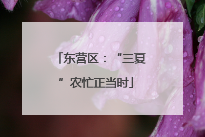 东营区：“三夏”农忙正当时