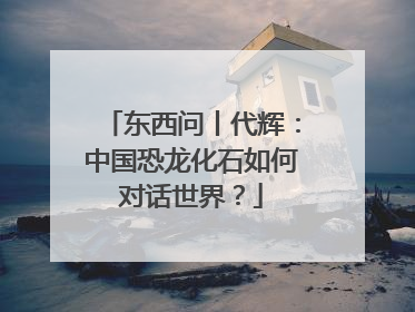 东西问丨代辉：中国恐龙化石如何对话世界？