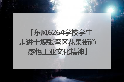 东风6264学校学生走进十堰张湾区花果街道感悟工业文化精神