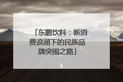 东鹏饮料：新消费浪潮下的民族品牌突围之路
