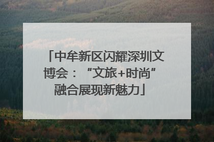 中牟新区闪耀深圳文博会：“文旅+时尚”融合展现新魅力