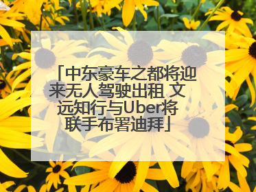 中东豪车之都将迎来无人驾驶出租 文远知行与Uber将联手布署迪拜