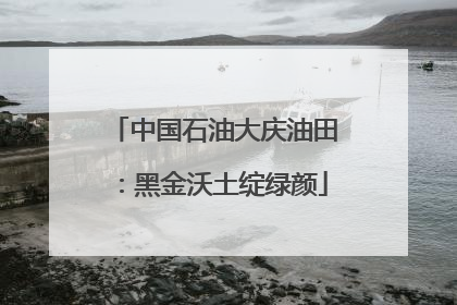 中国石油大庆油田：黑金沃土绽绿颜