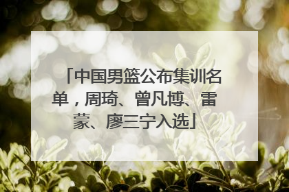 中国男篮公布集训名单，周琦、曾凡博、雷蒙、廖三宁入选