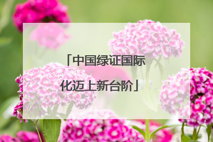 中国绿证国际化迈上新台阶