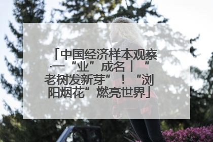 中国经济样本观察·一“业”成名丨“老树发新芽”！“浏阳烟花”燃亮世界