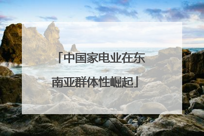 中国家电业在东南亚群体性崛起