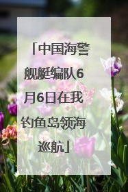中国海警舰艇编队6月6日在我钓鱼岛领海巡航