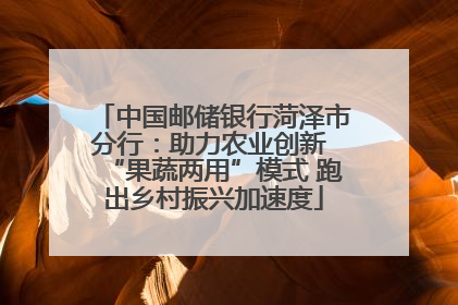 中国邮储银行菏泽市分行：助力农业创新 “果蔬两用”模式 跑出乡村振兴加速度