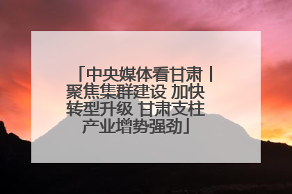 中央媒体看甘肃丨聚焦集群建设 加快转型升级 甘肃支柱产业增势强劲
