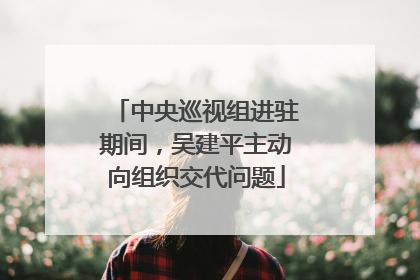 中央巡视组进驻期间，吴建平主动向组织交代问题