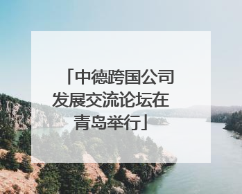 中德跨国公司发展交流论坛在青岛举行