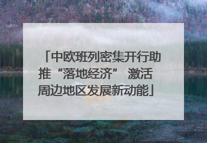 中欧班列密集开行助推“落地经济” 激活周边地区发展新动能