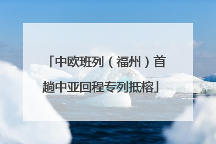 中欧班列（福州）首趟中亚回程专列抵榕