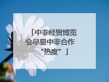中非经贸博览会尽显中非合作“热度”