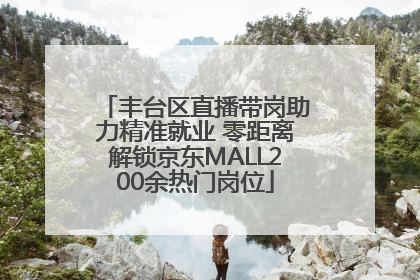 丰台区直播带岗助力精准就业 零距离解锁京东MALL200余热门岗位