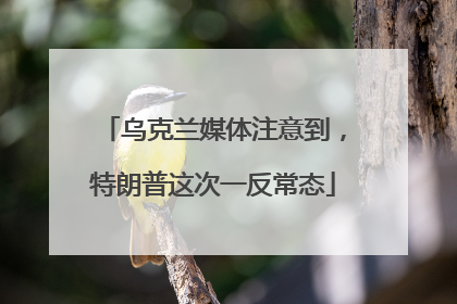 乌克兰媒体注意到，特朗普这次一反常态
