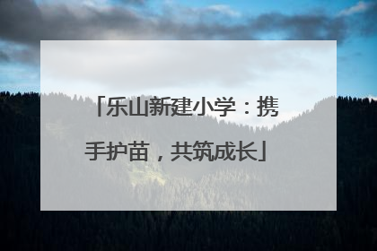 乐山新建小学：携手护苗，共筑成长