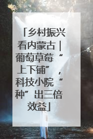 乡村振兴看内蒙古｜葡萄草莓“上下铺”，科技小院“种”出三倍效益