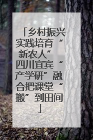 乡村振兴实践培育“新农人” 四川宜宾“产学研”融合把课堂“搬”到田间