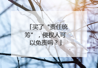 买了“责任统筹”，侵权人可以免责吗？