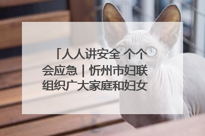 人人讲安全 个个会应急｜忻州市妇联组织广大家庭和妇女群众走进忻州市消防救援支队参观啦！