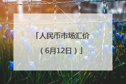 人民币市场汇价（6月12日）