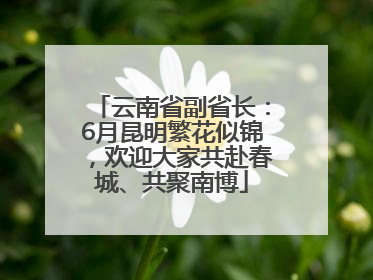 云南省副省长：6月昆明繁花似锦，欢迎大家共赴春城、共聚南博