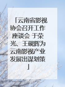 云南省影视协会召开工作座谈会 于荣光、王砚辉为云南影视产业发展出谋划策