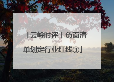 云岭时评丨负面清单划定行业红线③