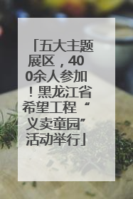 五大主题展区，400余人参加！黑龙江省希望工程“义卖童园”活动举行