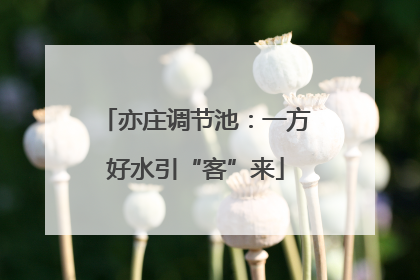 亦庄调节池：一方好水引“客”来