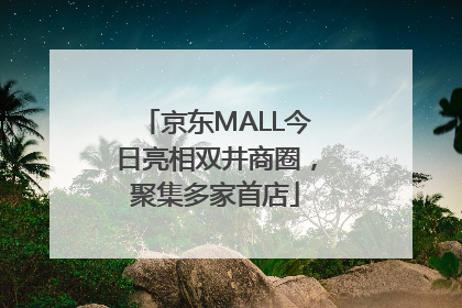 京东MALL今日亮相双井商圈，聚集多家首店