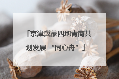 京津冀蒙四地青商共划发展 “同心舟”