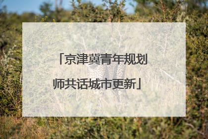 京津冀青年规划师共话城市更新