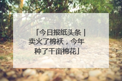 今日报纸头条｜卖火了棉袄，今年种了千亩棉花
