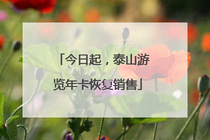 今日起，泰山游览年卡恢复销售