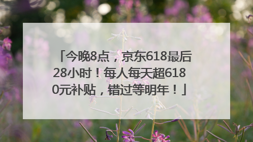 今晚8点，京东618最后28小时！每人每天超6180元补贴，错过等明年！