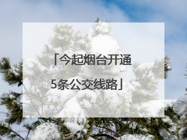 今起烟台开通5条公交线路