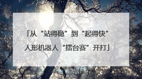 从“站得稳”到“起得快” 人形机器人“擂台赛”开打