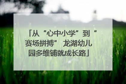 从“心中小学”到“赛场拼搏” 龙湖幼儿园多维铺就成长路
