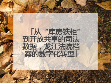 从“库房铁柜”到开放共享的司法数据，龙江法院档案的数字化转型
