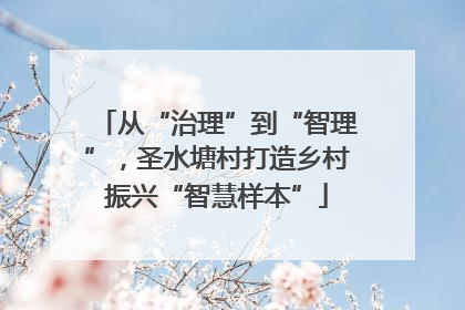 从“治理”到“智理”，圣水塘村打造乡村振兴“智慧样本”