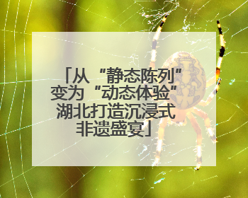 从“静态陈列”变为“动态体验” 湖北打造沉浸式非遗盛宴