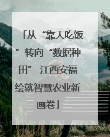 从“靠天吃饭”转向“数据种田” 江西安福绘就智慧农业新画卷