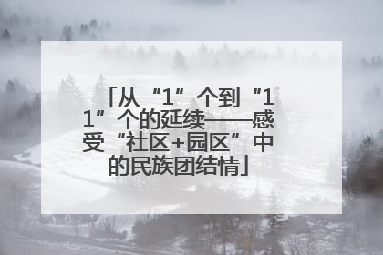 从“1”个到“11”个的延续——感受“社区+园区”中的民族团结情